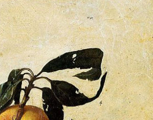 Caravaggio, Canestra di frutta, particolare