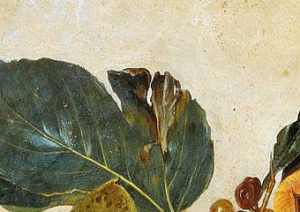 Caravaggio, Canestra di frutta, particolare