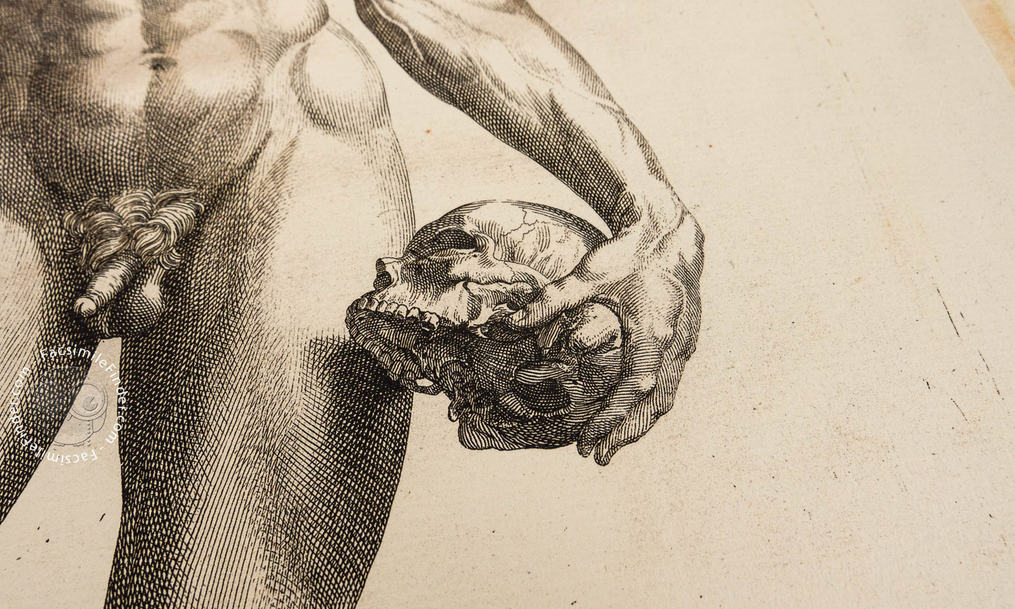 andrea vesalio de humani corporis fabrica