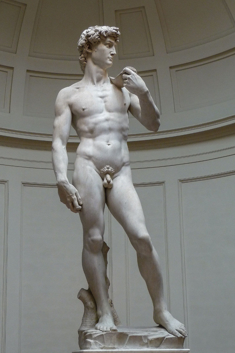 Il David di Michelangelo