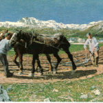 Aratura di Giovanni Segantini