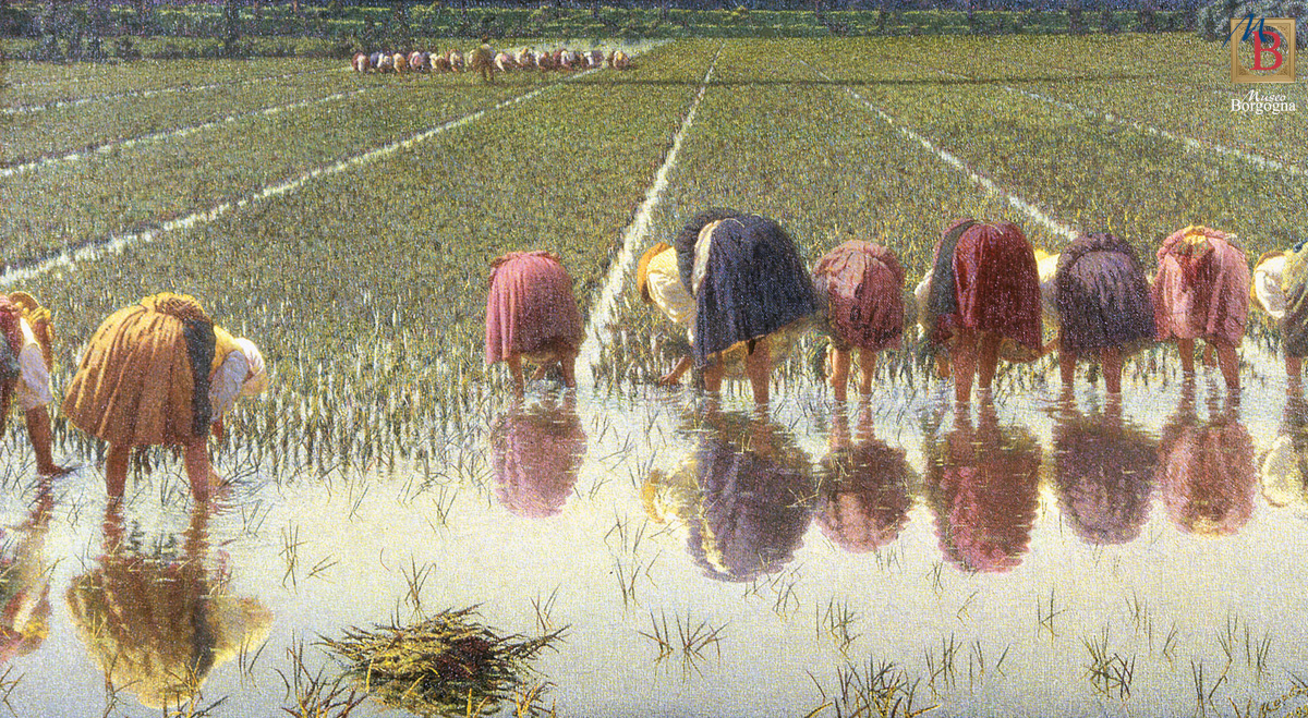 Per ottanta centesimi! di Angelo Morbelli Fondazione Museo Francesco Borgogna