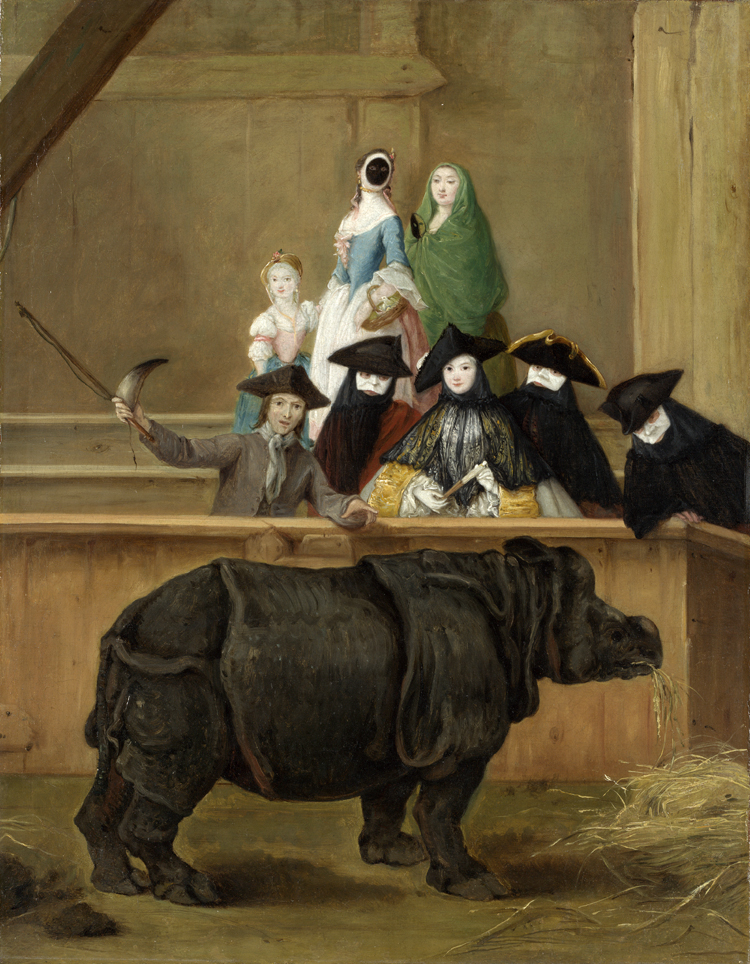 Il rinoceronte di Pietro Longhi