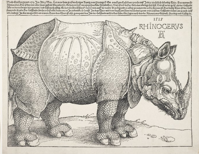 Rinoceronte di Albrecht Dürer