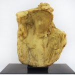 Dame à la voilette di Medardo Rosso