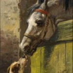 Amicizia sincera di Vittorio Cajani