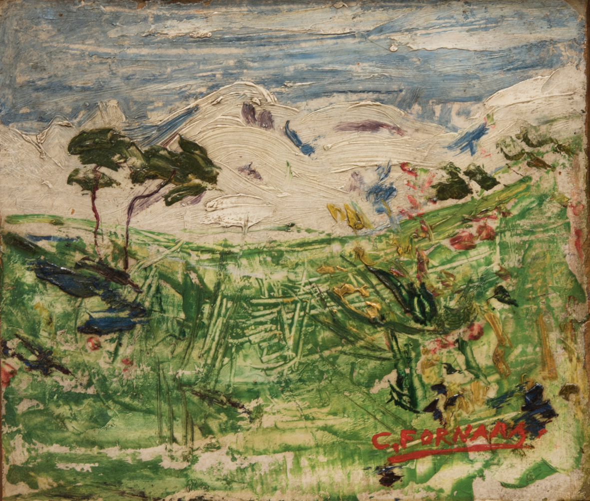 Impressione in alto di Carlo Fornara