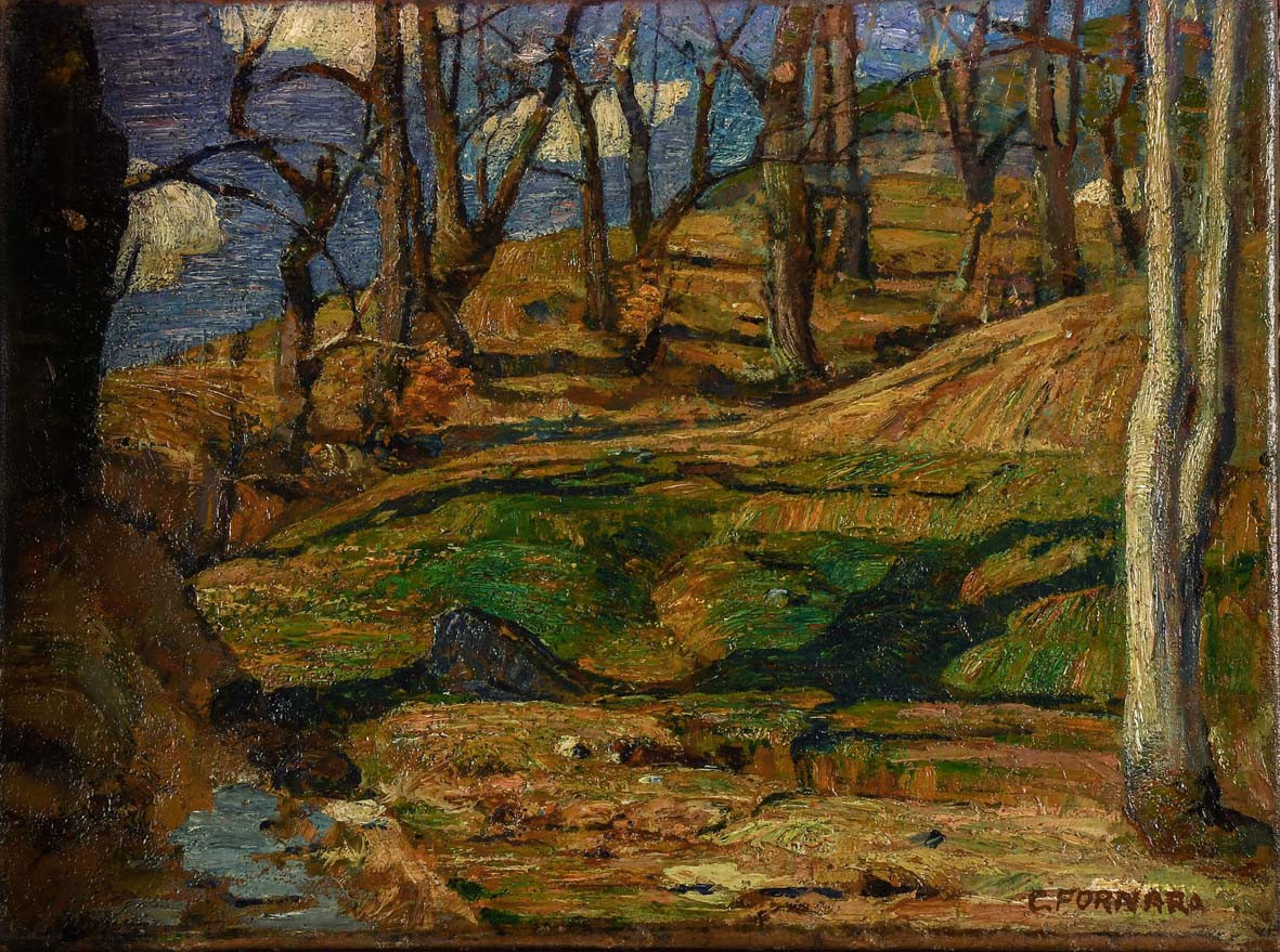 Sotto Toceno di Carlo Fornara