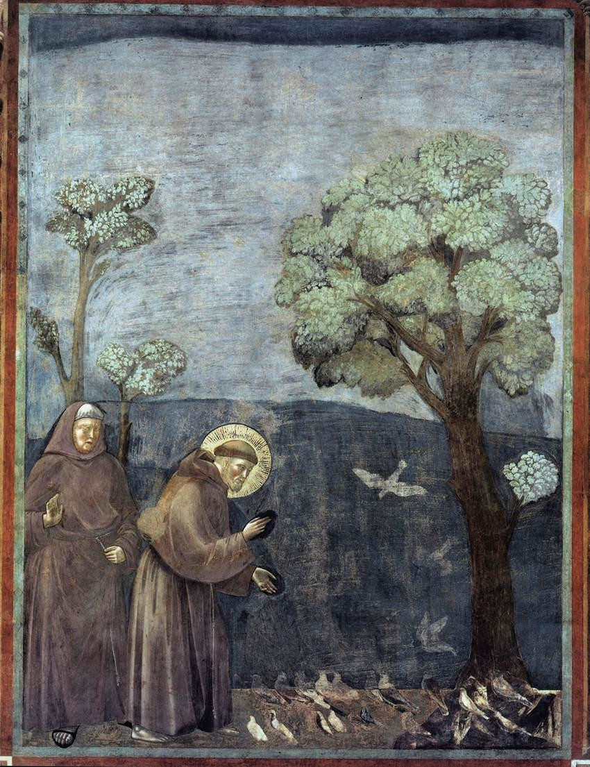 Predica agli uccelli di Giotto