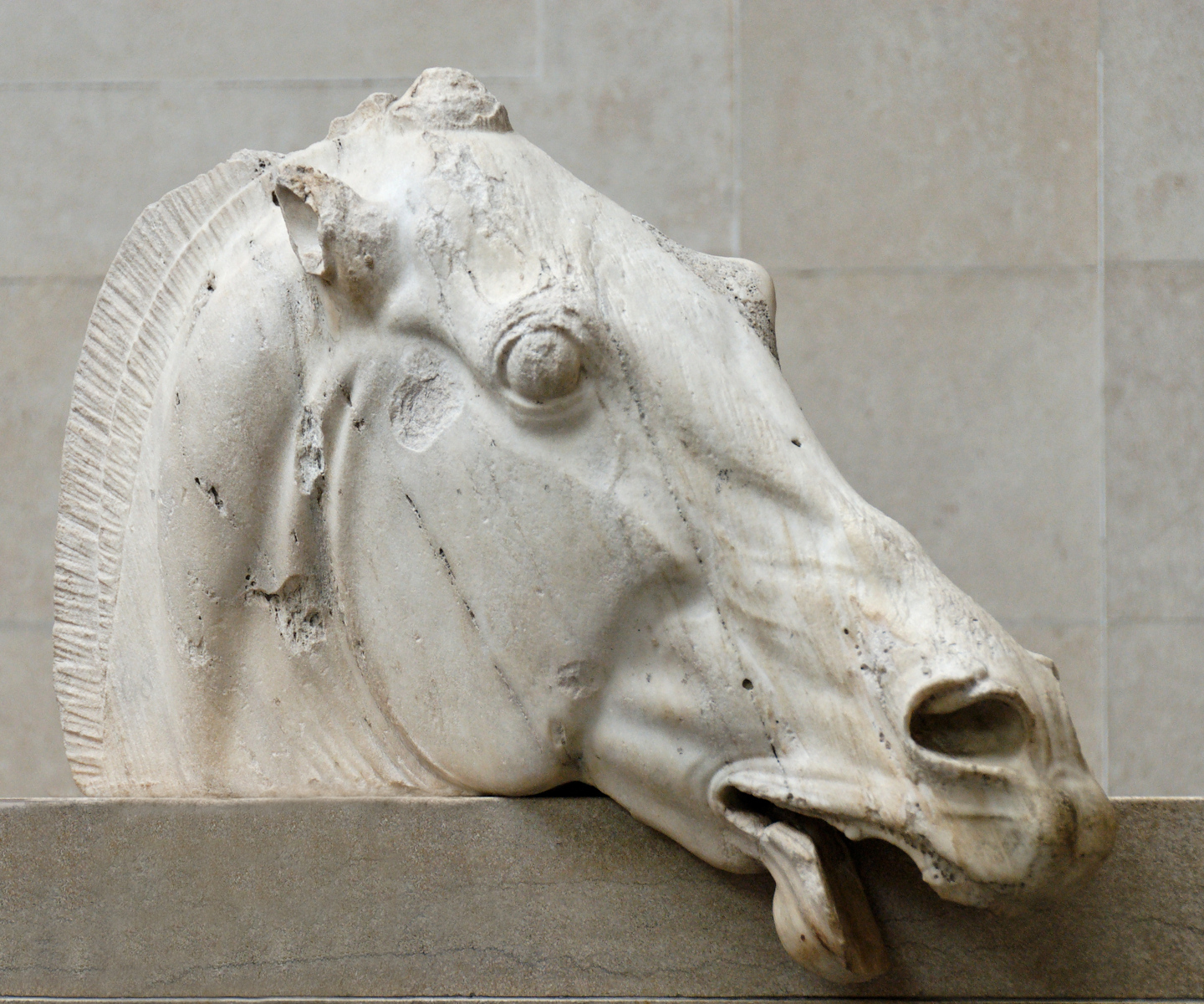 Testa di cavallo del carro della Luna di Fidia