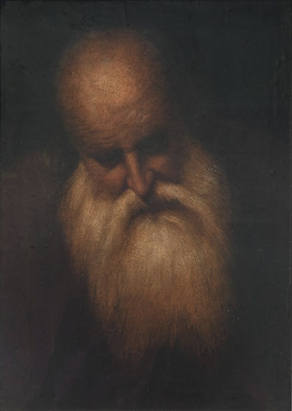 Testa di uomo anziano di Camillo Boccaccino
