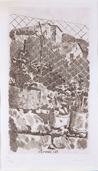 Piante di gerani e rete di filo di ferro di Giorgio Morandi