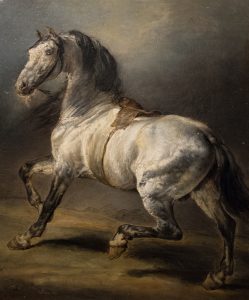 Studio di cavallo grigio di Th&eacute;odore G&eacute;ricault