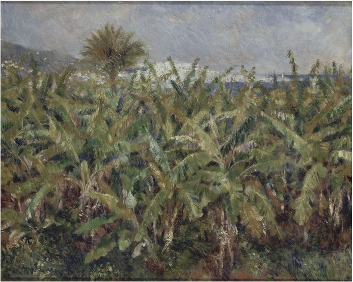 Campo di banani di Pierre-Auguste Renoir