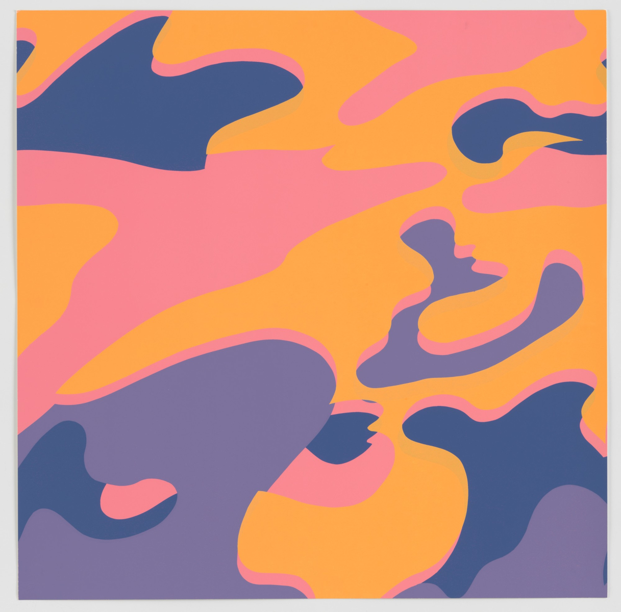 Camouflage di Andy Warhol