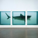 L'impossibilità fisica della morte nella mente del vivo (The Physical Impossibility of Death in the Mind of the Living) di Damien Hirst