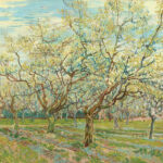 Pruni in fiore di Vincent van Gogh