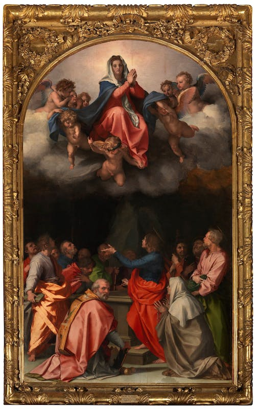 Assunta Passerini (Assunzione della Vergine) di Andrea Del Sarto