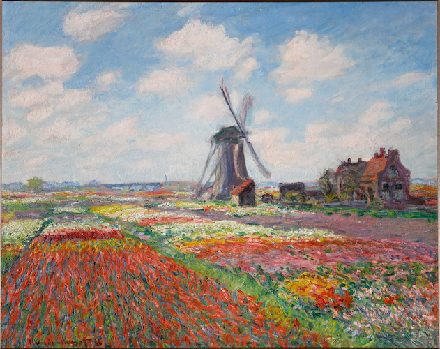 Campo di tulipani in Olanda di Claude Monet