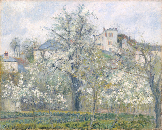 Printemps. Pruniers en fleurs di Camille Pissarro