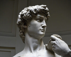 Il David di Michelangelo, particolare della testa vista frontalmente