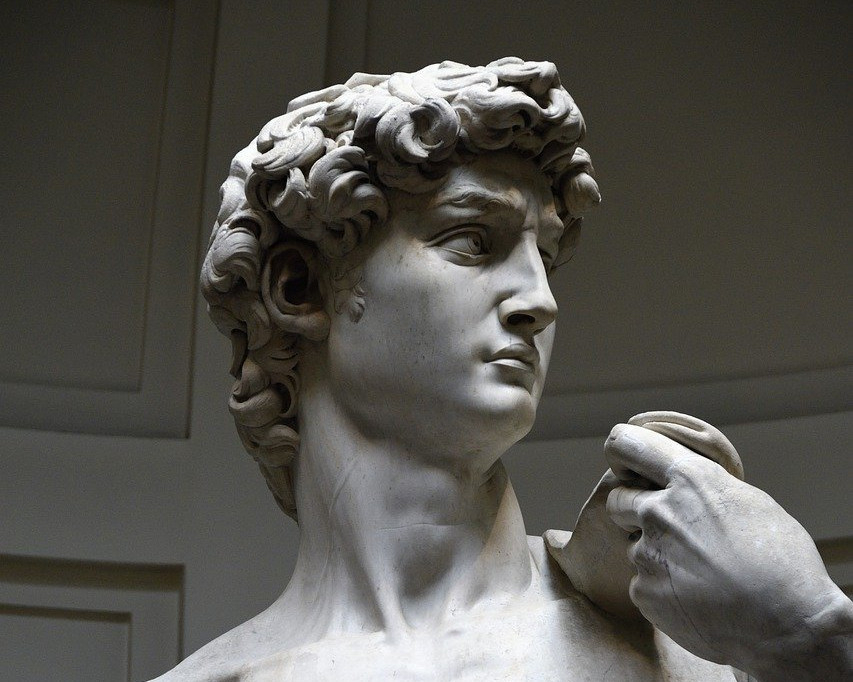 Il David di Michelangelo, particolare della testa vista frontalmente