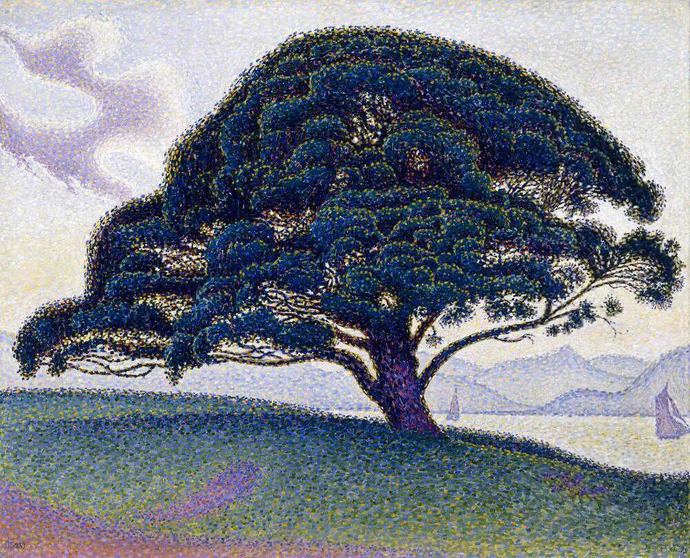 Il Pino Bonaventura di Paul Signac