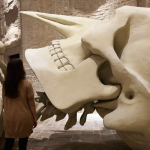 Gino De Dominicis, Calamita Cosmica, 1988, vetroresina, ferro, polistirolo, 24 metri, Chiesa della Santissima Trinità in Annunziata, Foligno